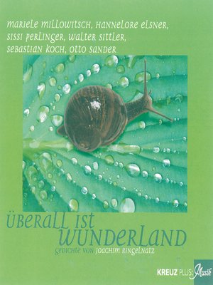 cover image of Überall ist Wunderland